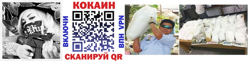 где найти   Судак  Cocaine 99% 