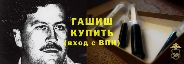 мдпв Снежногорск