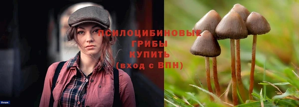 мдпв Снежногорск