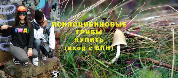мдпв Снежногорск